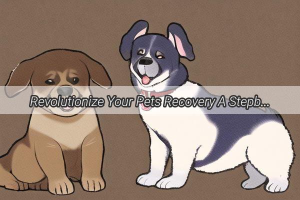 Revolutionize Your Pets Recovery A StepbyStep Guide to Using a Dog Wound Suturing Kit